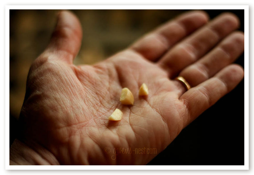 garlic reduce bacteria