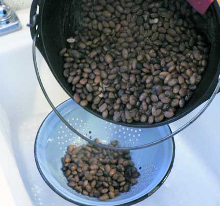 Burned-beans%20(2).jpg