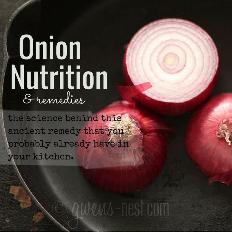 onion-nutrition-gwen-s-nest