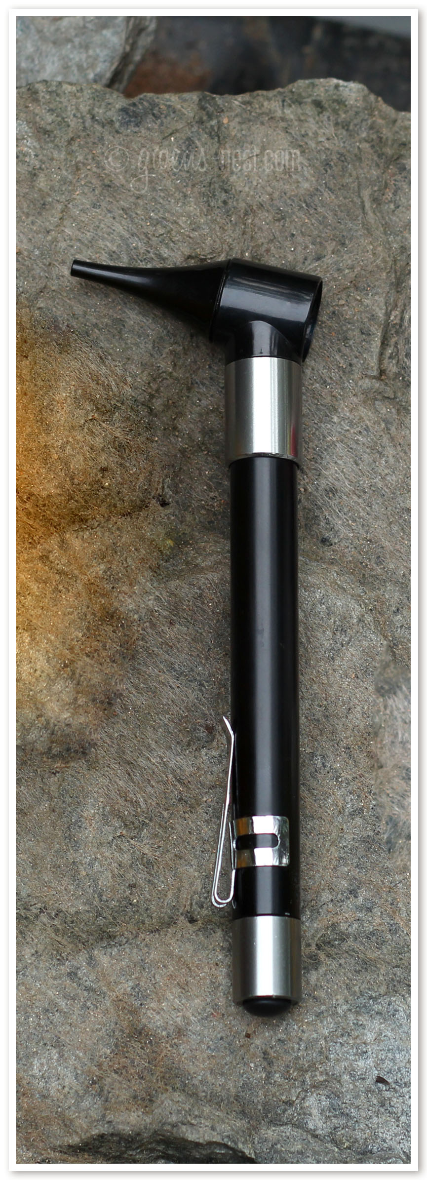 Ear Infection Remedy Gwen's Nest