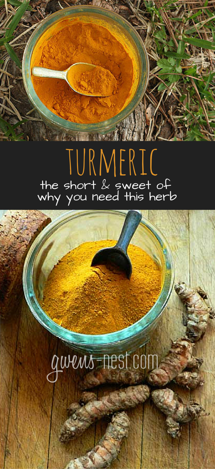 Turmeric in a nutshell - Gwen's Nest