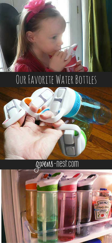 https://gwens-nest.com/wp-content/uploads/2012/01/Our-Favorite-Water-Bottles-pin-368x800.png