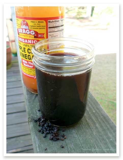 The EASIEST elderberry recipes- make your own syrup right in your crock pot and stop paying retail for this incredible immune booster!