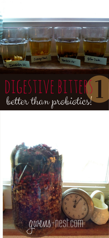 Digestive Bitters are BETTER than probiotics at long term digestive health...LOTS of great stuff here!