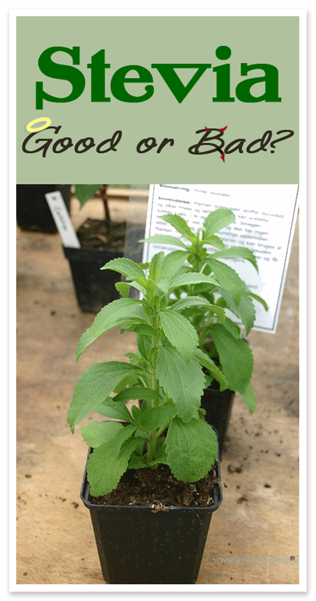 Stevia Good or Bad? Gwen's Nest