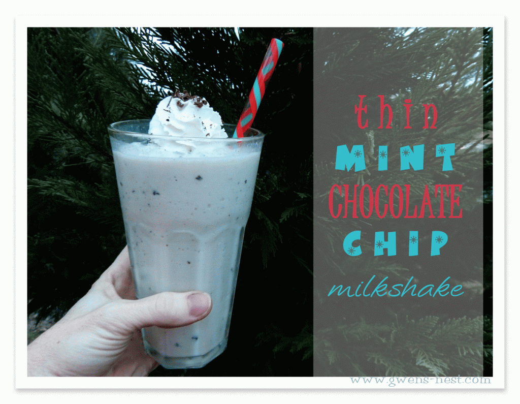 peppermint-chocolate-chip-m