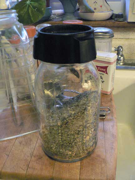 How To Use a Spice Grinder - RAISE - Helping People Thrive