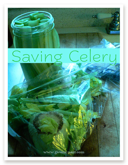 saving-celery