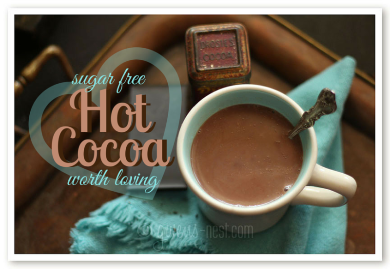 Sugar Free Hot Cocoa