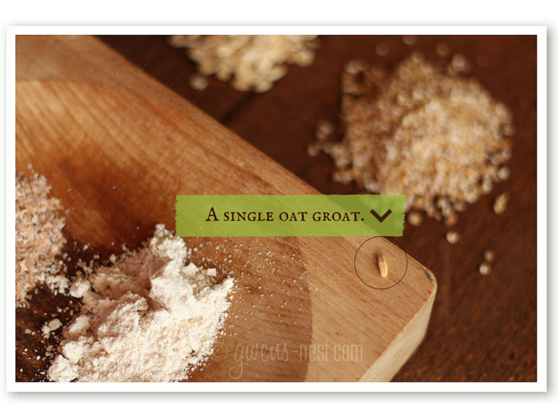 Oat Fiber vs Oat Bran Gwen's Nest