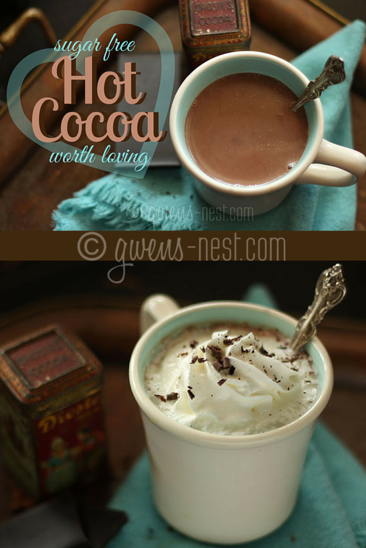 Sugar Free Hot Chocolate Recipe Gwen's Nest