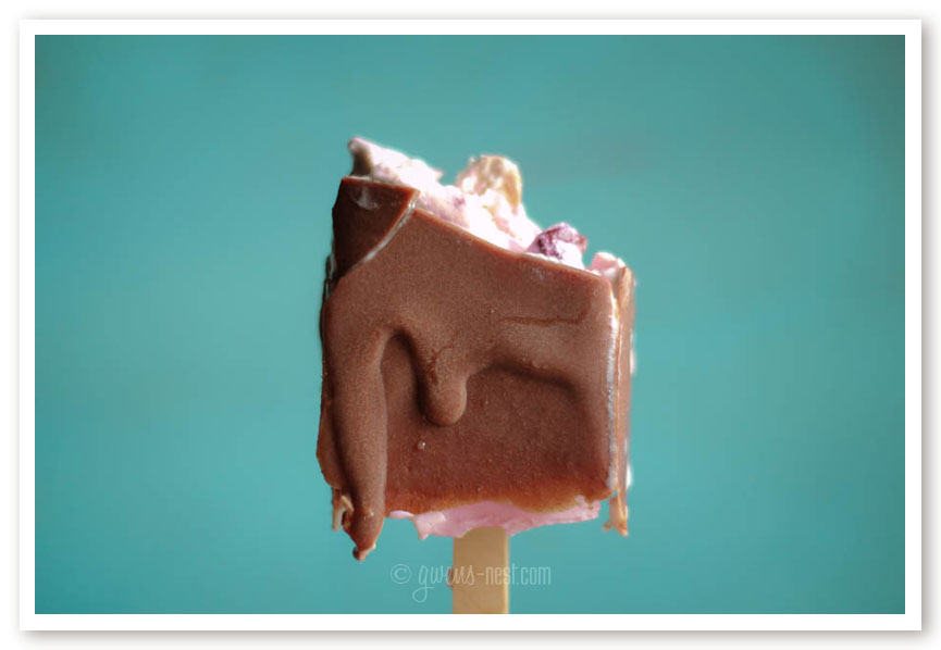 Chocolate Cherry Ice Cream Bars Sugar Free & Low Carb! Gwen's Nest