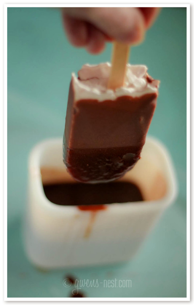 chocolate cherry ice cream bar sugar free (4 of 17)