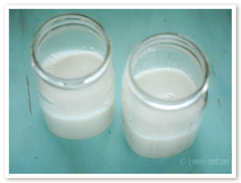 coconut yogurt recipe (17 of 20)