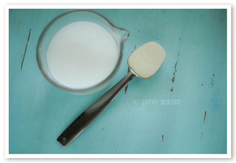 coconut yogurt recipe (9 of 20)