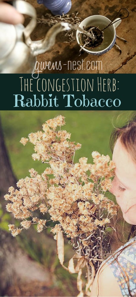 natural remedies for congestion- my favorite herb that's like herbal sudafed!