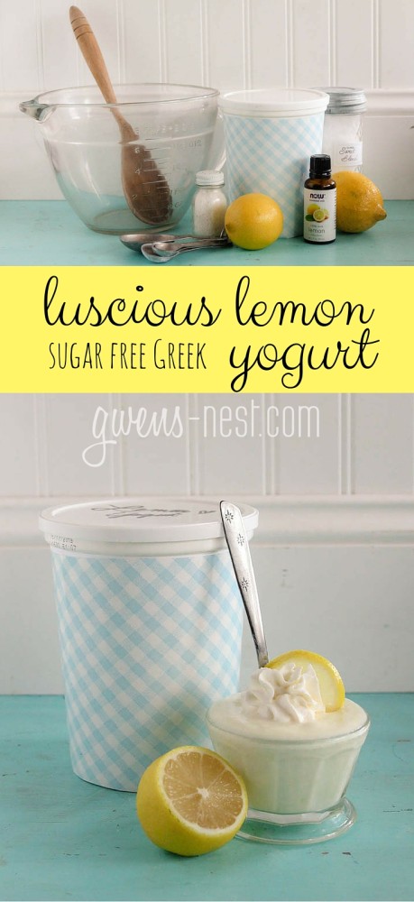 THIS lemon yogurt is my life. It tastes like lemonade pie, but it's high in protein and sugar free. SO MUCH YUM! Here's how to make a whole quart!