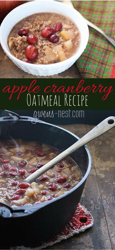 Apple cranberry steel cut oatmeal recipe- SO AMAZING!!! (You can use regular oats too) A THM E or crossover breakfast