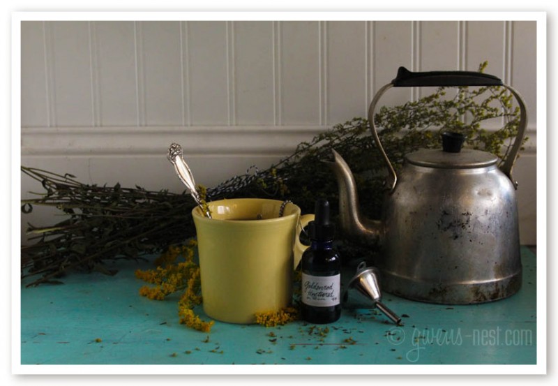 goldenrod herb (10 of 46)