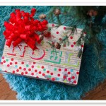 The first box under my tree is my SANITY box- peek inside for my best Christmas organizing tips!
