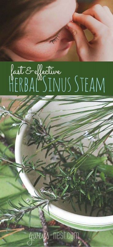 home remedy for sinus infection pin (1)