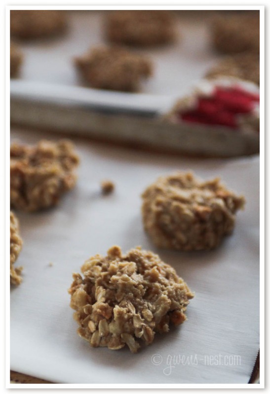 APPLE oatmeal cookies that are sugar free, gf, and a DELISH THM E treat!