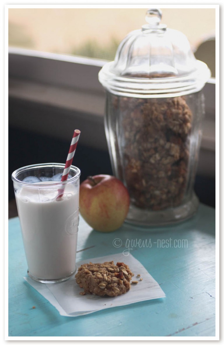 Sugar Free Apple Oatmeal Cookie Recipe | Gwen's Nest