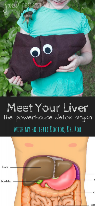 Meet this vital organ, and learn about the diseases and functions of the liver with my amazing holistic Dr, Dr. Rob.