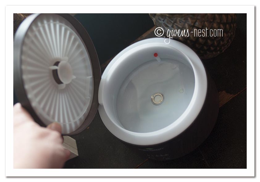 Diffuser Review and Winter Pines Essential Oil Recipe - Gwen's Nest