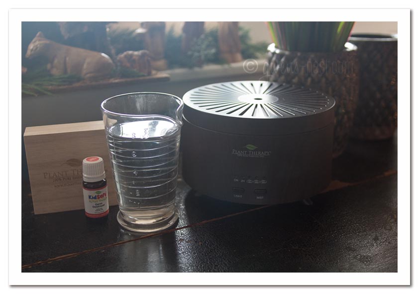 Diffuser Review and Winter Pines Essential Oil Recipe - Gwen's Nest