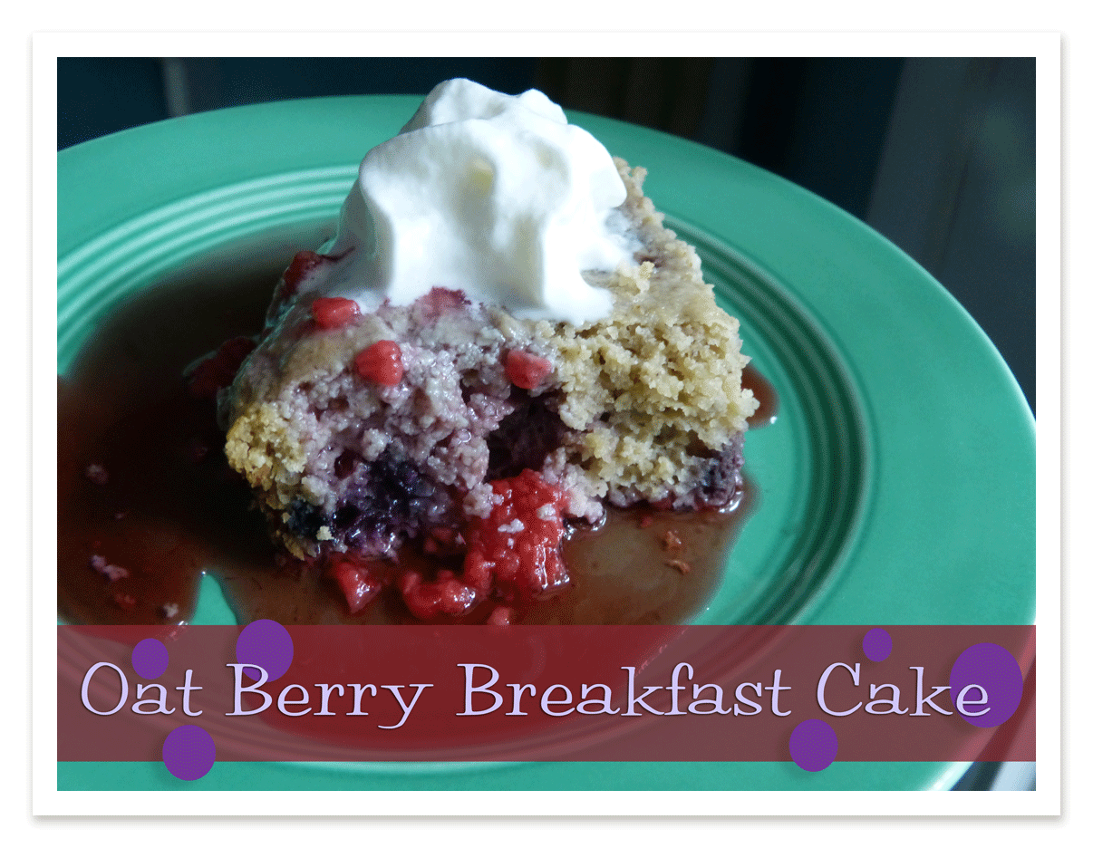 Oat-Berry-Breakfast-Cake