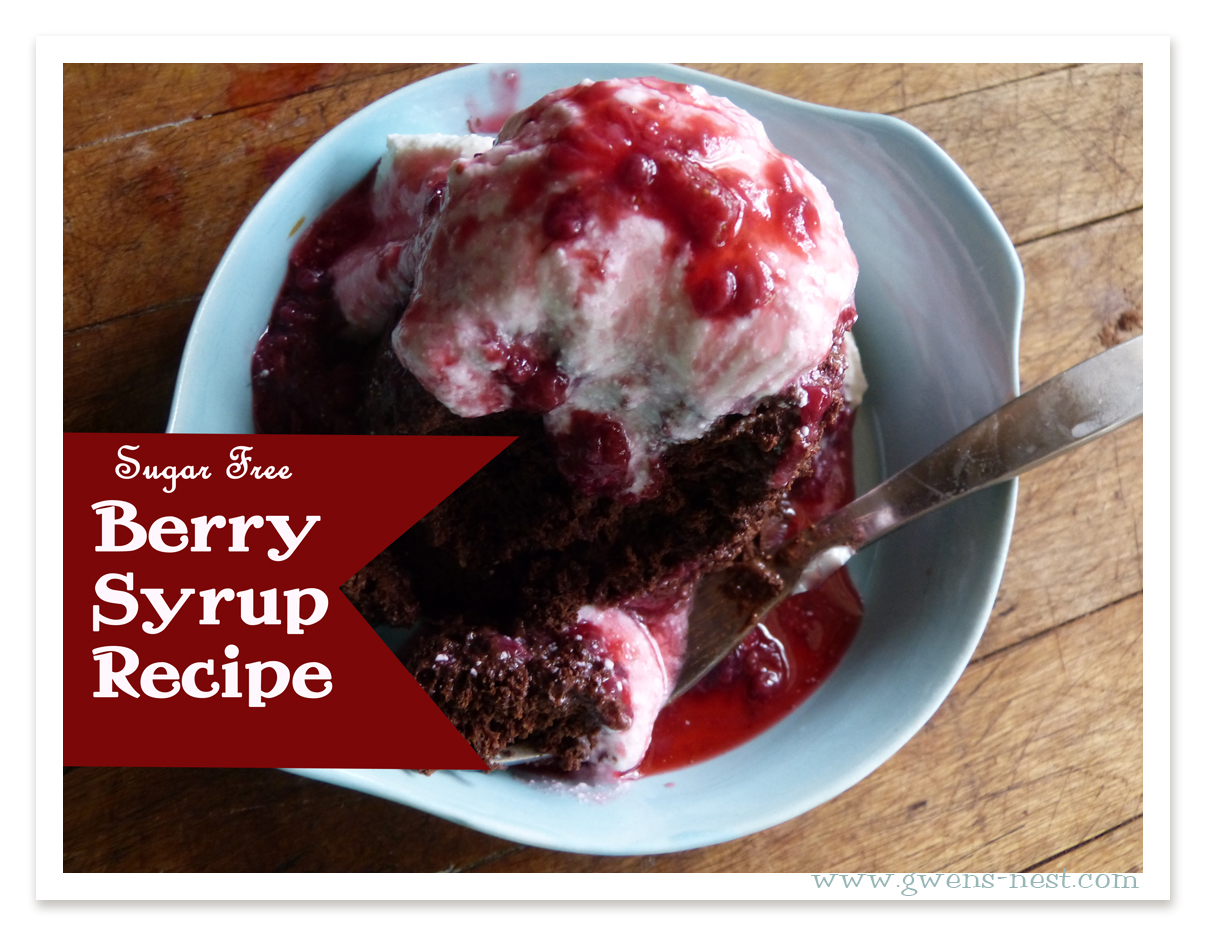 Sugar Free Berry Syrup Recipe