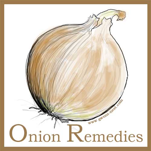 Onion Remedies - Gwen's Nest